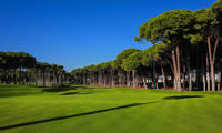 carya golf club